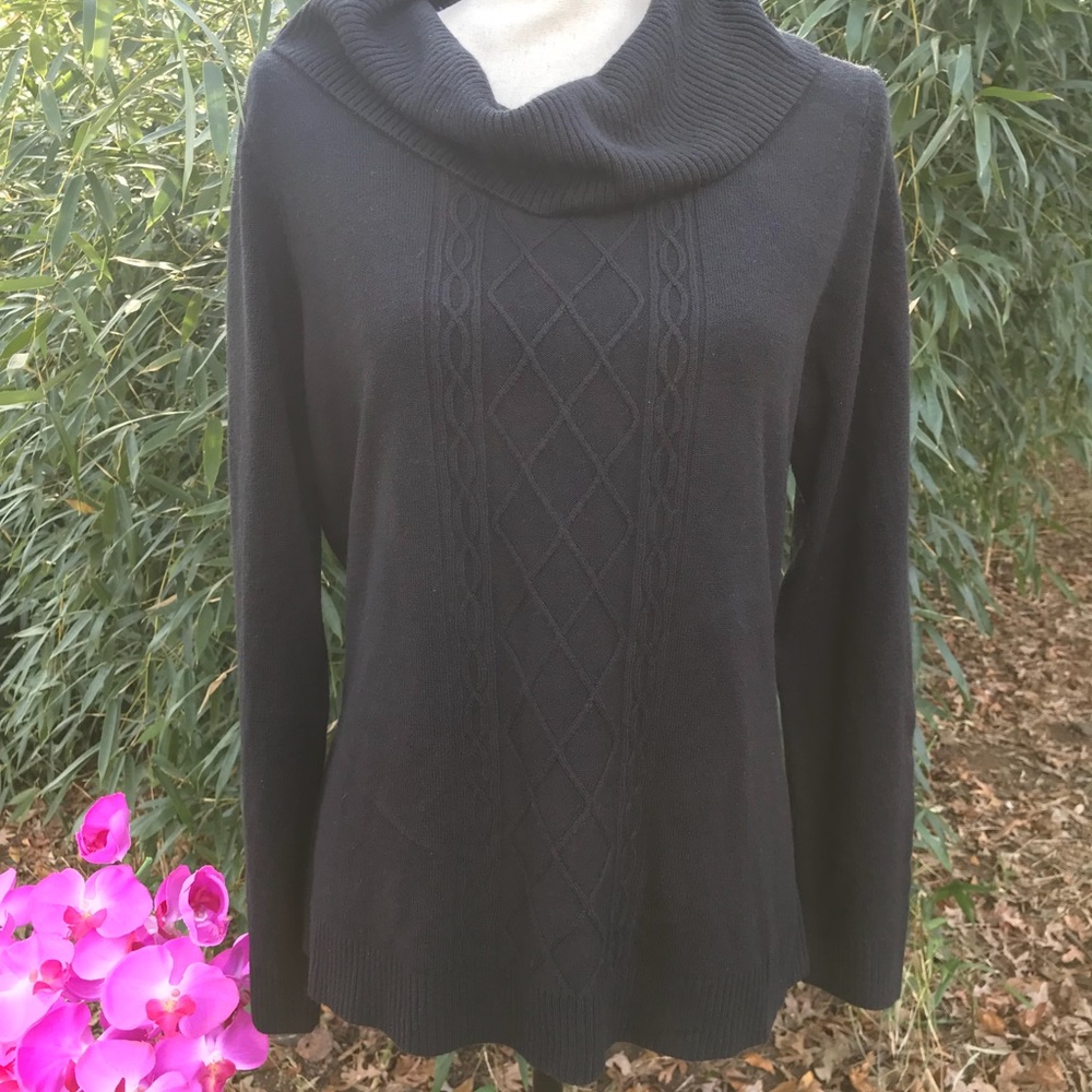 Requirements Turtle Neck Sweater